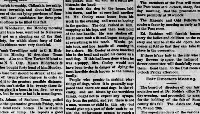 발사각을 말하는 1885년 신문기사