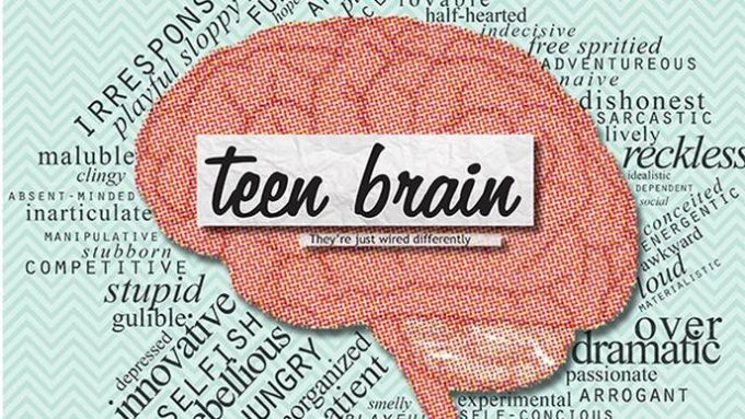 왜 청소년기의 뇌를 이해하는 것이 코칭에 중요할까?