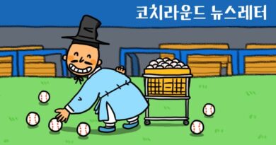 코치라운드 뉴스레터 (매주 금요일 발송)
